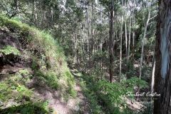 IMG_5671