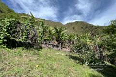 IMG_5675